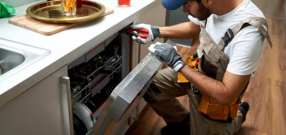 Same Day Dishwasher Not Draining Repair in Barnstable