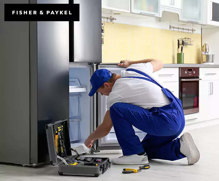 Top-Rated Fisher & Paykel Appliance Experts: Your Brand Specialist in Barnstable, MA