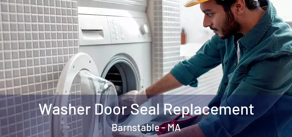  Washer Door Seal Replacement Barnstable - MA